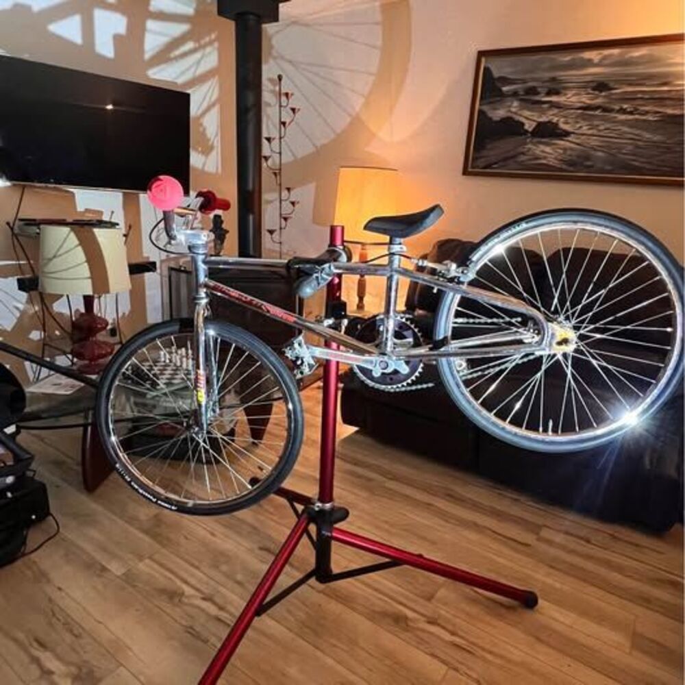 Robinson BMX